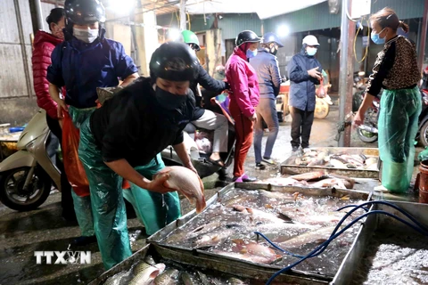 Chợ Phùng Khoang mỗi ngày đêm cung cấp hơn 10 tấn rau, củ, quả, thịt, cá các loại. (Ảnh: Vũ Sinh/TTXVN)