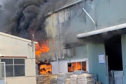 Bình Dương: Cháy lớn tại khu nhà xưởng của công ty sản xuất đồ gốm