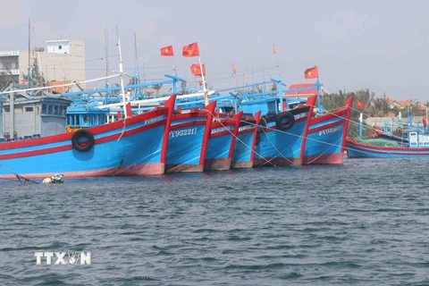 Tàu cá của ngư dân tại Phú Yên. (Ảnh: Phạm Cường/TTXVN)
