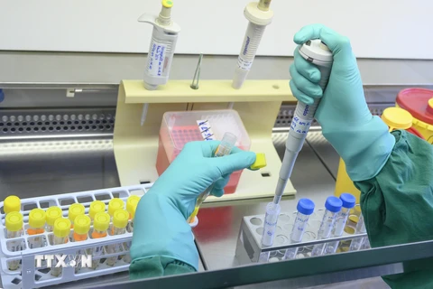 Xét nghiệm các mẫu nhằm phát hiện trường hợp nhiễm COVID-19. (Ảnh: AFP/TTXVN)