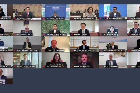 Hội nghị trực tuyến cấp bộ trưởng thương mại của APEC. (Ảnh: APEC)