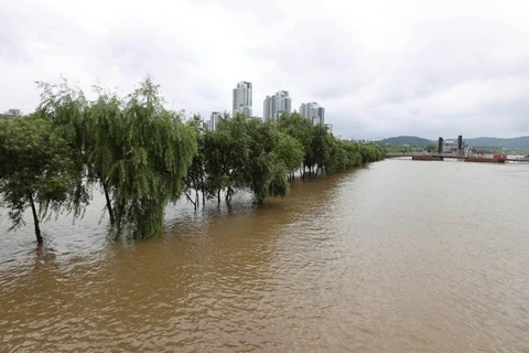 Lũ lụt nghiêm trọng tại thủ đô Seoul. (Ảnh: AP)