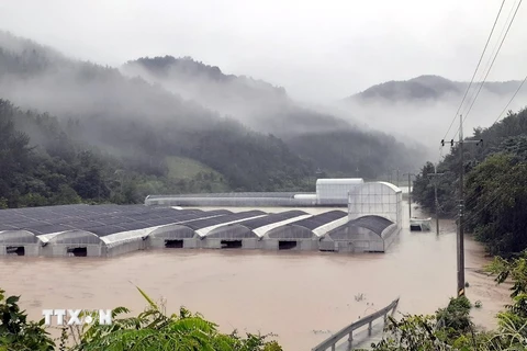 Lũ lụt gây nhiều thiệt hại nghiêm trọng tại Hàn Quốc. (Ảnh: Yonhap/TTXVN)