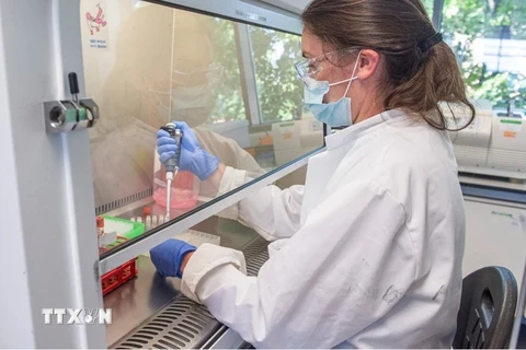 Kỹ thuật viên thử nghiệm vắcxin phòng COVID-19 tại Đại học Oxford. (Ảnh: AP/TTXVN)