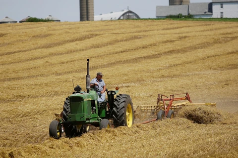 Ngành nông nghiệp Mỹ chịu nhiều thiệt hại do COVID-19. (Ảnh: Reuters)