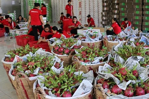 Trái cây Việt Nam rộng đường xuất khẩu sang thị trường Mỹ