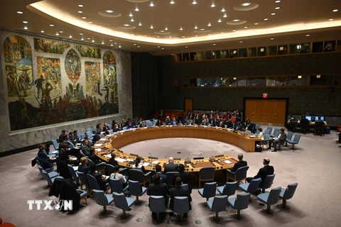 Hội đồng bảo an Liên hợp quốc. (Ảnh: AFP/TTXVN)