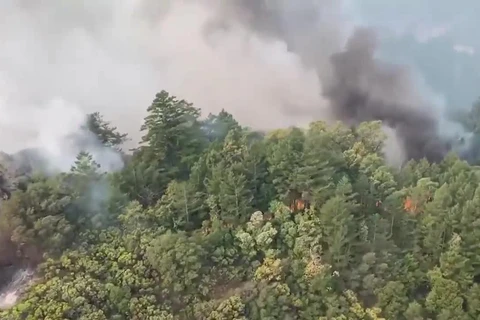 Cháy rừng nghiêm trọng tại California. (Ảnh: LA Times)