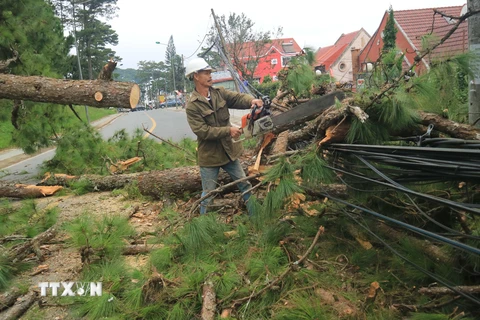 Miền Trung Việt Nam phải hứng chịu hàng loạt cơn bão trong năm nay. (Ảnh: Đặng Tuấn/TTXVN)