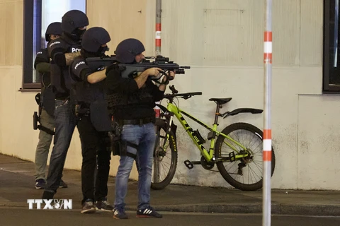 Cảnh sát Áo tuần tra tại Vienna sau vụ xả súng. (Ảnh: THX/TTXVN)