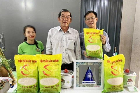 Đi tìm giống gạo ngon nhất Việt Nam để cạnh tranh trên trường quốc tế