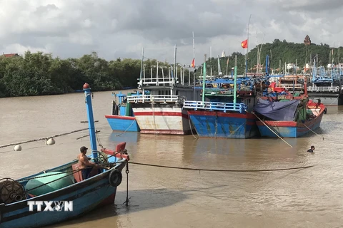 Ngư dân Phú Yên neo đậu tàu thuyền tránh trú bão. (Ảnh: Phạm Cường/TTXVN)