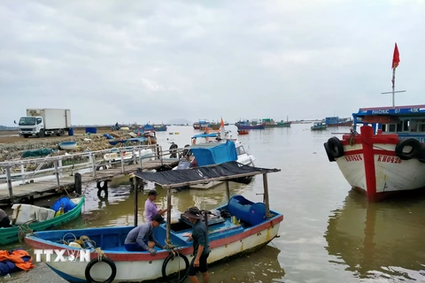 Tàu thuyền của ngư dân neo đậu tránh bão tại Khánh Hoà. (Ảnh: TTXVN)