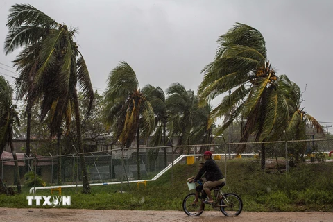 Bão Iota đổ bộ vào Nicaragua. (Ảnh: AFP/TTXVN)