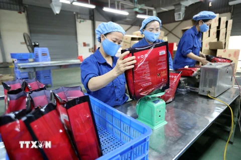 Doanh nghiệp sản xuất càphê xuất khẩu của Việt Nam. (Ảnh: Danh Lam/TTXVN)