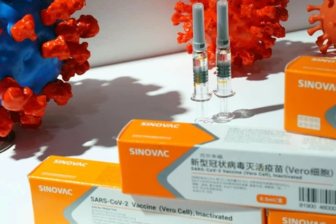 Vắcxin COVID-19 của Sinovac Biotech. (Ảnh: CGTN)
