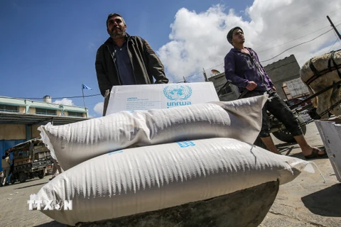Người dân Palestine nhận hàng viện trợ từ UNRWA. (Ảnh: AFP/TTXVN)