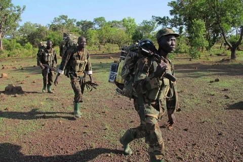 Chính phủ CH Trung Phi đàm phán với phiến quân LRA