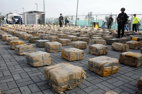 Colombia bắt giữ hơn 300 đối tượng vận chuyển ma túy