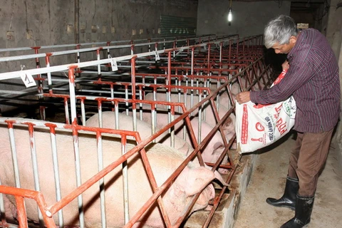 Công ty Pháp dự triển lãm chăn nuôi lớn nhất Việt Nam