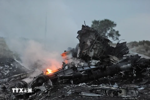 Malaysia quyết điều tra nguyên nhân vụ rơi máy bay ở Ukraine