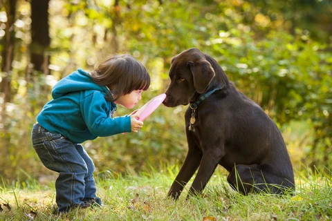 Phát hiện thú vị: Loài chó cũng biết ghen giống con người