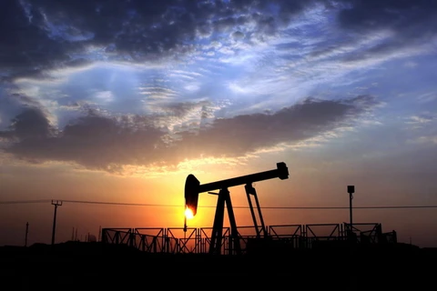 Giá dầu vẫn tăng bất kể nguồn cung dầu thô dồi dào từ Mỹ