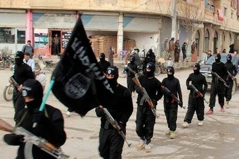 Đi tìm nguồn gốc tư tưởng của lực lượng Nhà nước Hồi giáo IS