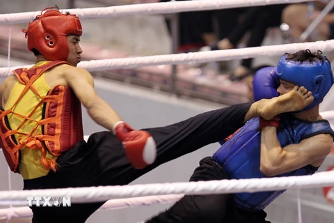 Khai mạc giải Boxing và Võ thuật cổ truyền Let’s Việt 2014