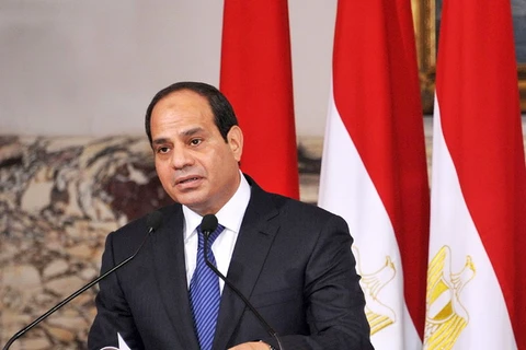 Tổng thống Ai Cập vẫn được ủng hộ cao sau 100 ngày cầm quyền