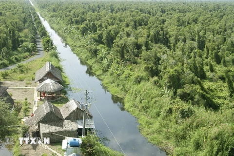 Chấn chỉnh việc quản lý, sử dụng đất rừng Vườn Quốc gia U Minh Hạ