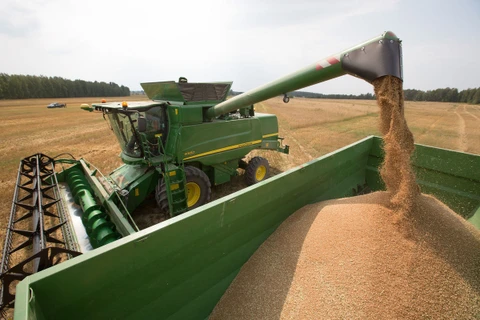Nga có thể áp đặt lệnh cấm hoàn toàn xuất khẩu ngũ cốc