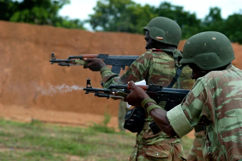 Quân đội Benin. (Nguồn: wikipedia.org)
