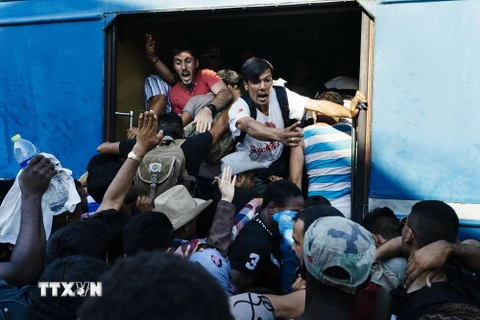 Người di cư chen lấn lên tàu hỏa tại nhà ga Gevgelija ở biên giới Macedonia-Hy Lạp ngày 9/8. (Ảnh: AFP/TTXVN)