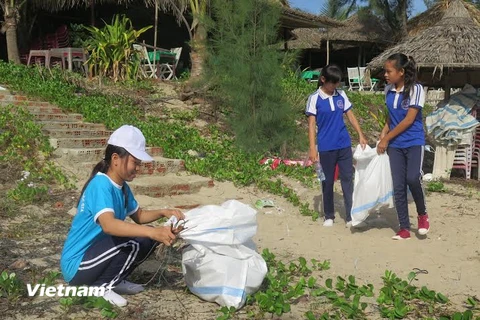 Các em học sinh tham gia nhặt rác tại bãi biển An Bàng. (Ảnh: Nguyễn Sơn/Vietnam+)