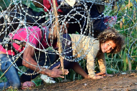 Người nhập cư chui qua hàng rào thép gai tại biên giới Hungary-Serbia. (Ảnh: AFP)