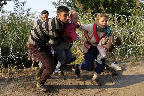 Người nhập cư chui qua hàng rào thép gai để vượt qua biên giới Hungary. (Ảnh: Reuters)