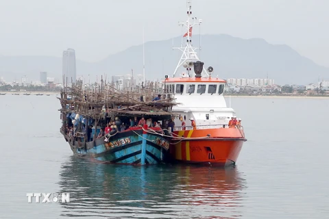 Tàu SAR 274 lai dắt tàu cá bị hỏng máy vào bờ an toàn. (Ảnh: Trần Lê Lâm/TTXVN)