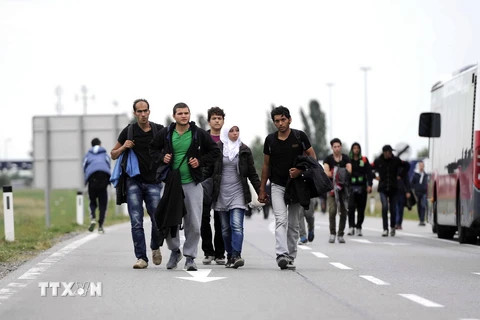 Dòng người tị nạn tại khu vực kiểm soát ở biên giới Áo- Hungary, gần Nickeldorf ngày 14/9. (Ảnh: AFP/TTXVN)