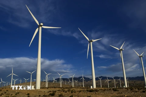 Các tuôcbin gió tại nhà máy phong điện ở Palm Springs, bang California. (Ảnh: THX/TTXVN)
