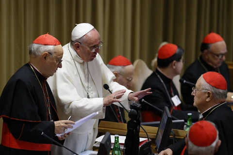 Giáo hoàng Francis trao đổi với các đức hồng y tại một phiên họp của Tòa thánh Vatican. (Nguồn: catholicsun.org)