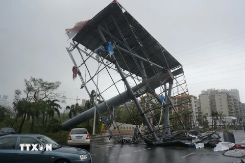 Biển quảng cáo bị đổ do bão Mujigae tại Trạm Giang, tỉnh Quảng Đông ngày 4/10. (Ảnh: THX/TTXVN)