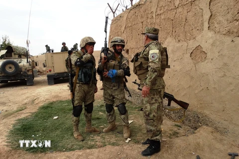 Cảnh sát Afghanistan trong chiến dịch quân sự truy quét phiến quân Taliban tại tỉnh Helmand ngày 24/10. (Ảnh: THX/TTXVN)