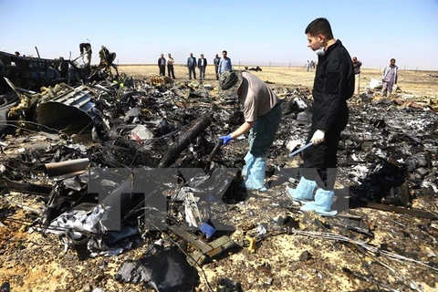 Nhân viên cứu hộ điều tra tại hiện trường vụ rơi máy bay Nga ở ​Sinai, Ai Cập ngày 1/11. (Nguồn: THX/TTXVN)