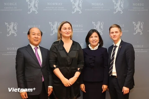 Thứ trưởng Bộ Giao thông vận tải Nguyễn Văn Công (thứ nhất từ trái sang) gặp gỡ giới chức Na Uy tại Oslo ngày 30/11. (Nguồn: Đại sứ quán Việt Nam tại Na Uy)