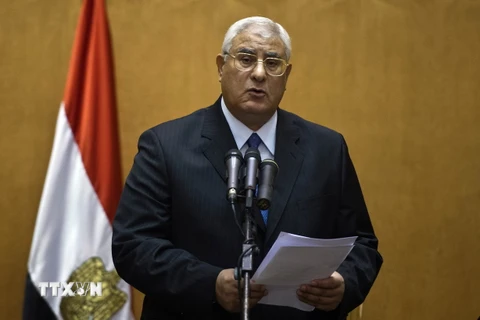 Chánh án Tòa án Hiến pháp Tối cao Ai Cập Adly Mansour. (Ảnh: AFP/TTXVN)
