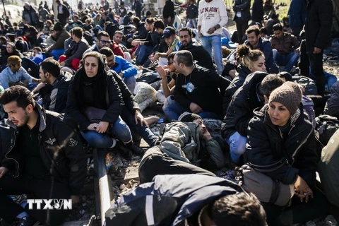 Người di cư từ Liberia, Maroc, Pakistan, Sri Lanka và Sudan tại khu vực Gevgelija ở biên giới Macedonia-Hy Lạp ngày 19/11. (Ả​nh: AFP/TTXVN)