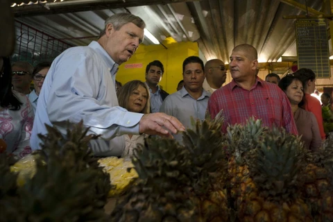 Bộ trưởng Nông nghiệp Mỹ Tom Vilsack thăm một khu chợ tại La Havana, Cuba ngày 13/11/2015. (Nguồn: ​AP)