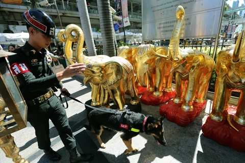 Quân cảnh Thái Lan và chó nghiệp vụ kiểm tra một địa điểm ở thủ đô Bangkok. (Ảnh: EPA)