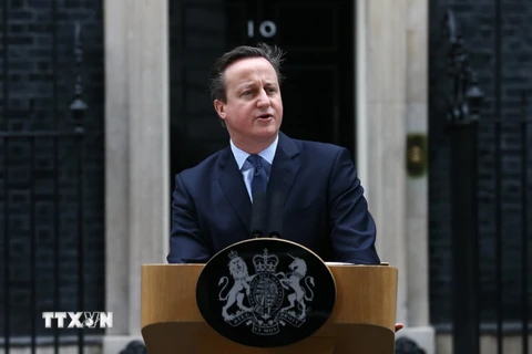 Thủ tướng Anh David Cameron phát biểu trước báo giới sau cuộc họp nội các tại số 10 phố Downing, London ngày 20/2. (Ảnh: AFP/TTXVN)
